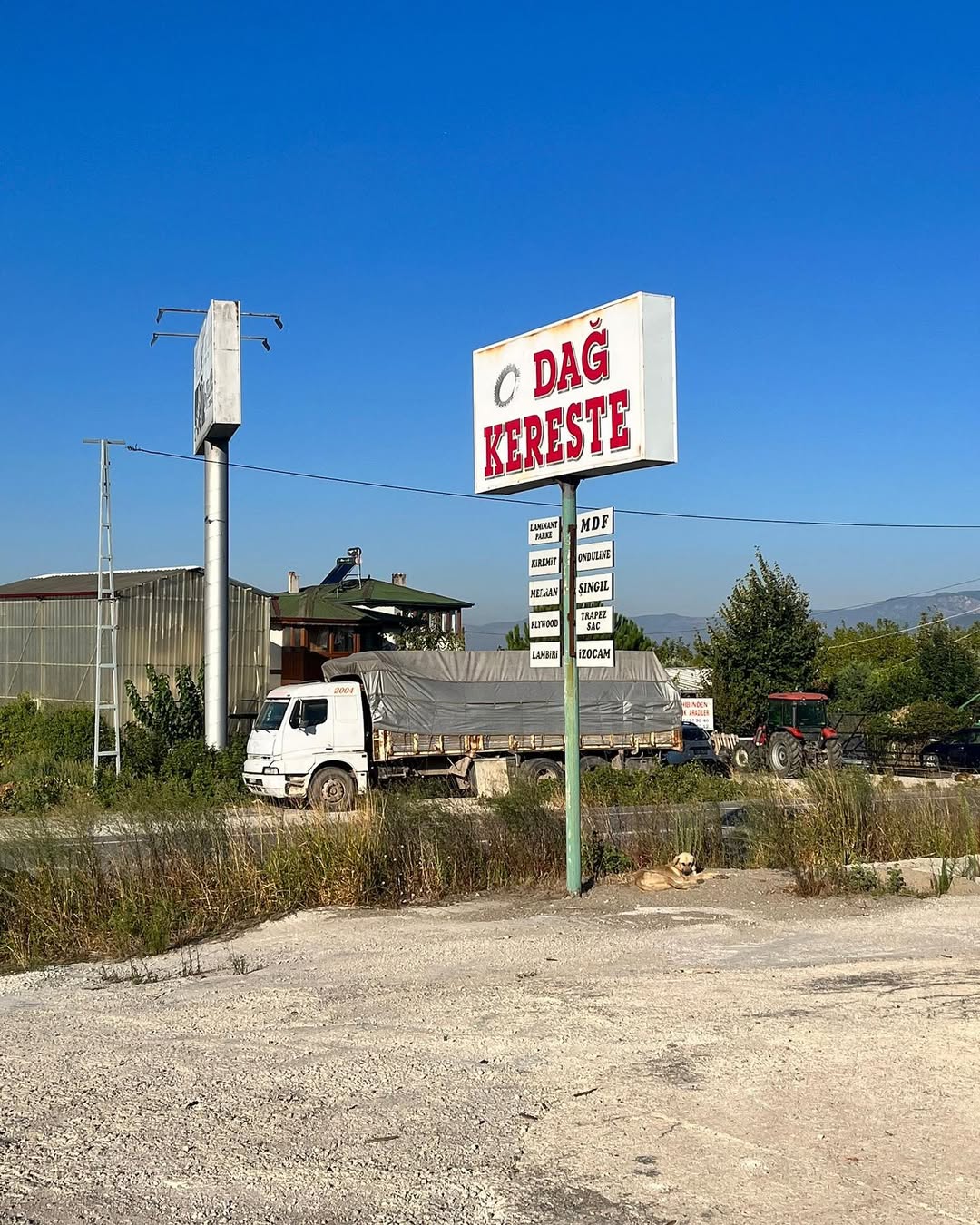 Dağ Kereste Hakkında Görsel